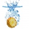 The Pineapple Parlour